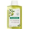 Klorane shampoo cedro 200 ml - KLORANE - 983592357