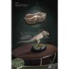 STAR ACE Tyrannosaurus Rex Deluxe Resin Statua Statua Star Ace