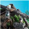 MEGAHOUSE Attack On Titan Mega Cat Project Gathering Scout Regiment Danyan! Special Set 3