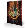 PYRAMID HARRY POTTER HOGWARTS CREST WOOD PRINT STAMPA SU LEGNO PYRAMID INTERNATIONAL