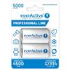 EVERACTIVE, R14 AKU 2BL - pile da 5000, professional line.