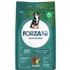 FORZA 10 MAINTENANCE CANE SECCO Maxi Adult Cervo e Patate 12 kg