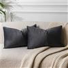 JUSPURBET Copricuscini in Velluto Grigio Scuro Lombari 30x50 cm Set di 2 per Divano Soggiorno Camera da Letto Decorativi Rettangolari Solidi Morbidi con Cerniera Invisibile