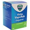 Vicks VapoRub Rimedio Per Raffreddore/Mal Di Gola/Tosse/Naso Chiuso Vasetto 100g