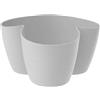 Erba Coprivaso Asso 3 posti cm 14 grigio