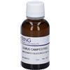 HERING Ulmus Campestris Gemme Macerato Glicerico 30 ml Gocce orali