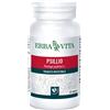 ERBA VITA GROUP SpA Psyllio 60cps