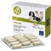 CAMON SpA ORMEVIT 60CPR