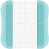 COLOPLAST SpA COMFEEL PLUS TRASP 10X10 10PZ