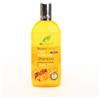 Dr organic royal jelly pappa reale shampoo 265 ml