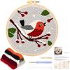 JSRQT Punch Needle Kit per Principianti, Ricamo Sarter Kit Aghi Punzonaturacon con Motivo Uccello per Bambini Adulti, Set di Punto Croce Punch Needle con Strumento, per Decorazioni Casa