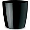 Erba Coprivaso milano luce cm 35 nero
