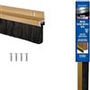 STORMGUARD 02SR0190914G - Striscia paraspifferi per porta, colore: oro