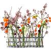 Tsé-Tsé - Vaso Vase d'avril - Trasparente - Acciaio zincato - Designer Tsé-Tsé