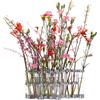 Tsé-Tsé - Vaso Vase d'avril - Trasparente - Acciaio zincato - Designer Tsé-Tsé