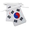 AZ FLAG Ghirlanda 12 Metri 20 Bandiere Corea del Sud 45x30cm - Bandiera SUDCOREANA 30 x 45 cm - Festone BANDIERINE