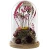 AlexandreHouse DECORACION FLOR SECA CRISTAL 17X17X26 FLORES