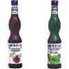 Fabbri 1905 Bundle Sciroppo Amarena Fabbri 560ml + Sciroppo Menta Fabbri 560ml