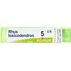boiron Rhus Toxicodendron 5Ch Granuli Multidose Boiron 80gr 4g