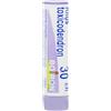 boiron Rhus toxicodendron 30ch 80gr4g