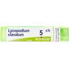 boiron Lycopodium clavatum 5ch 80gr