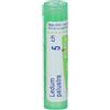 Boiron Ledum Palustre Medicinale Omeopatico 5Ch 80 Granuli