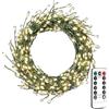 ZELUXDOT Accendi Petardo Luci 30m 1000 LED Bianco Caldo Verde Filo Cluster Lucine con Telecomando per Camera da Letto,Matrimonio,Compleanno,Festa,Albero di Natale,Giardino,Patio