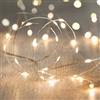 Lights4fun - Filo di 50 Micro LED Bianco Caldo a Pile, 4,9m, Cavo Metallico Argento, Catena Luci Decorative per Interni ed Esterni, Timer 6 Ore, Effetto Delicato [Classe di Efficienza Energetica A]