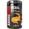 Anderson Professional Sport Supplements ANDERSON AMMO ZERO BCAA POLVERE 315g AMINOACIDI RAMIFICATI 2:1:1 + VIT.B6
