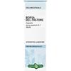 Borsa Erba Vita Borsa Pastore Som Sol Ial 50Ml 50 ml Soluzione