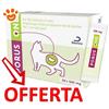 Dechra Cat Porus One (30x500gr) - Confezione Da 30 Pezzi - CONFEZIONE RISPARMIO