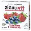 FALQUI PRODOTTI FARMAC. Srl Ziguli Vit Frutti di Bosco 40 palline