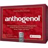 LA STREGA Srl MASQUELIERS ANTHOGENOL 90 Capsule