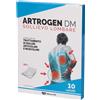 Marco Viti Farmaceutici Artrogen Dm Sollievo Lombare Trattatamento Di Dolori Articolari E Muscolari 10 Cerotti
