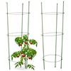 relaxdays Gabbia Pomodori, Supporto per Piante Rampicanti, Set da 2 Sostegni, Accessori Giardinaggio, L: 76 cm, Verde
