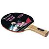 GARLANDO Coppia di Racchette da Ping Pong Arrow 2 Stelle