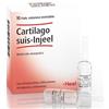 GUNA SpA Cartilago suis inj 10f heel - Guna - 909470078