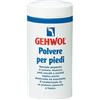 Dual Sanitaly spa GEHWOL POLVERE PIEDI 100G