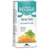ZETA FARMACEUTICI SpA GOLASEPT SPRAY GOLA ADULT 30ML