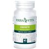 ERBA VITA GROUP SpA EQUISETO 125TAV