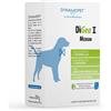 DYNAMOPET DìGea I Medium Mangime Complementare per Cani 20 BUSTINE