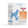 DYNAMOPET Energia Small Mangime Complementare 20 BUSTINE