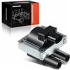 Frankberg Modulo di Accensione Bobina di accensione 2-Poli 46548037 | Compatibile con Fiat Cinquecento Punto Van Palio Doblo Panda, Lancia Delta I Thema SW Ypsilon, Alfa Romeo 33 145 146 155