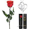 Yamonic Rosa Stabilizzata con Collana Regalo Donna, Vera Rosa Eterna con Steli Idee Regalo per Anniversario, Rosa Eterna Regalo Donna Compleanno, Natale San Valentino Regali per Lei
