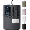 AbsoDry Duo Family - Deumidificatore casa muffa - più qualità dell'aria - Deumidificatore portatile anti muffa - Assorbi umidità armadio e bano - Grigio scuro