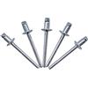 Marcopol Confezione da 100 rivetti ciechi 4,0 x 6 mm, testa a cupola aperta, rivetti a scatto, DIN 7337, rivetti in acciaio e mandrino in acciaio (100, 4,0 x 6 mm)