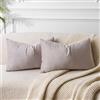 JUSPURBET Copricuscini in Velluto Champagne Lombari 30x50 cm Set di 2 per Divano Soggiorno Camera da Letto Decorativi Rettangolari Solidi Morbidi con Cerniera Invisibile