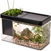 Generico Acquario Betta, Acquario - Acquario Per Pesci Betta Trasparente | Acquario Per Pesci Betta Acquario Da Tavolo Per Lumache, Granchi, Stelle Marine