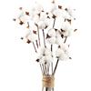 Larber 10 pezzi fiori artificiali decorazione bianca fiori in cotone secco gambo lungo, simulazione naturale e stile originale, per decorazione di vasi casa di campagna, matrimoni