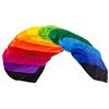 Wolkenstürmer Paraflex Basic 2.1 tappeto volante, Rainbow - kite a 2 linee per principianti